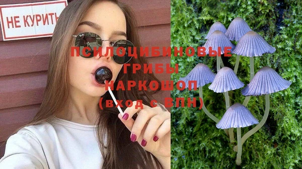 индика Армянск